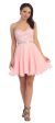 Strapless Lace Bust Short Homecoming Party Dress in Blush